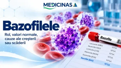 Bazofile în hemoleucogramă și analiza de sânge