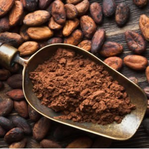 Cacao degresata fairtrade