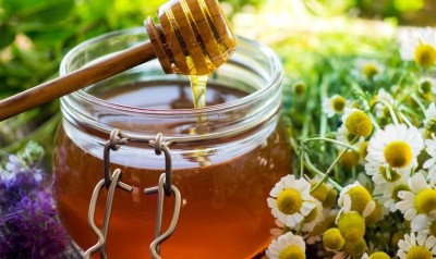 Ce se întâmplă în organismul tău dacă consumi valeriană amestecată cu miere! E cel mai eficient remediu naturist