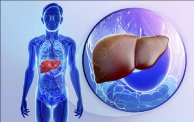 Cum să-ți regenerezi ficatul rapid și ușor, cu ajutorul unor leacuri naturiste