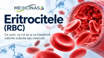 Eritrocitele (RBC) – globulele roșii din sânge