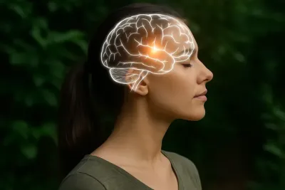 Fortezin Cerebral – scutul natural al creierului