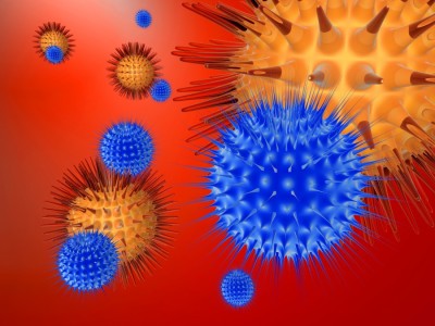 Ține gripa și răceala la distanță! Alimente care ajută la întărirea sistemului imunitar în sezonul rece