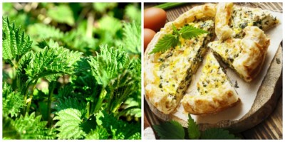 Îți lingi degetele de plăcere! Plăcintă cu urzici și brânză sărată