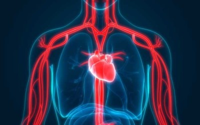 Remedii naturiste pe care trebuie să le încerci pentru îmbunătățirea circulației sângelui