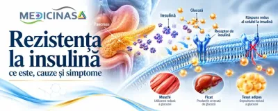 Rezistența la insulină – răspunsul redus al organismului la insulină