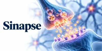 Sinapse – comunicarea dintre neuroni prin neurotransmițători