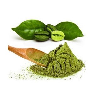 Acid Clorogenic