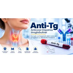 Anti-Tg anticorpi anti-tiroglobulină în analizele pentru tiroidă