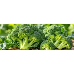 Broccoli proaspăt (Brassica oleracea var. italica), cu inflorescențe verzi compacte, legumă cruciferă bogată în glucorafanină