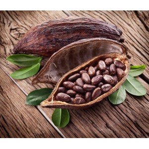 Cacao fair trade