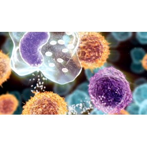 Ce alimente trebuie să consumi pentru a trata inflamațiile din organism