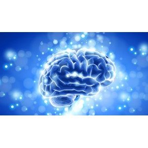 Cum să-ți menții creierul tânăr. Vitamine care mențin sănătatea funcției cognitive