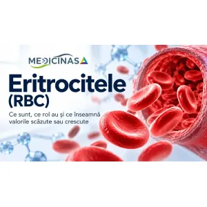 Eritrocitele (RBC) – globulele roșii din sânge
