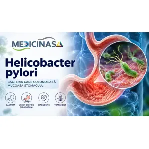 Helicobacter pylori – bacterie spiralată la nivelul mucoasei stomacului