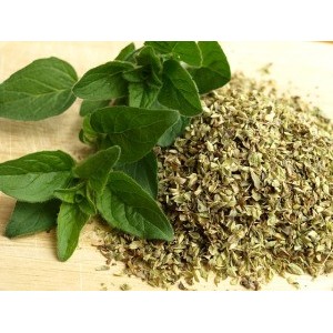 Oregano