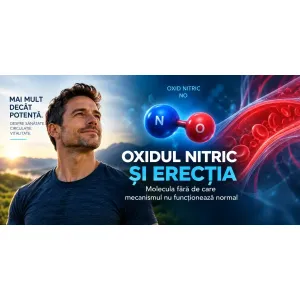 Oxidul nitric și erecția – molecula fără de care mecanismul nu funcționează normal
