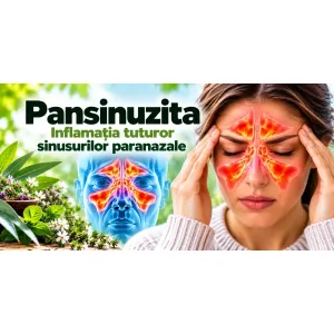 Pansinuzita – inflamația tuturor sinusurilor paranazale, maxilare, frontale, etmoidale și sfenoidale