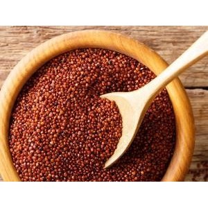Quinoa Rosie