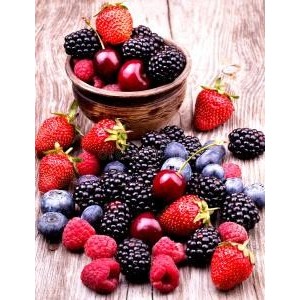 Resveratrol